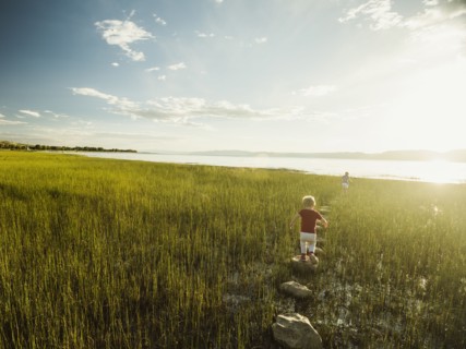 Small girl and boy (4-5) walking on stepping stones in meadow