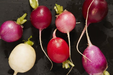 Wet radishes