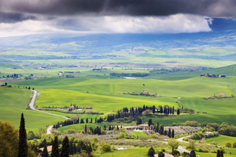 Scenic view of green rolling landscape