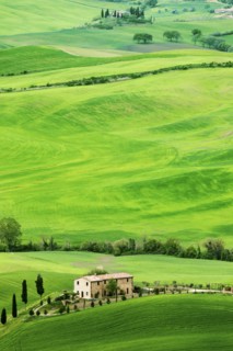 Green rolling landscape with farmhouse