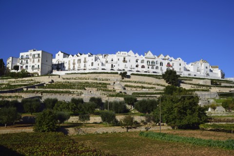 Terraced vineyards and town on hill