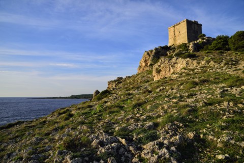 Medieval Torre dell'Alto tower on coastline
