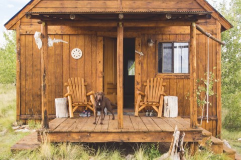 Dog on porch of wooden hut