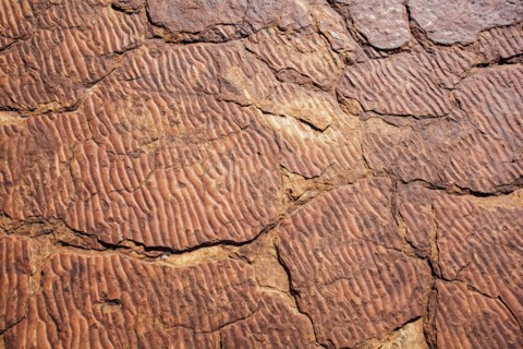 Close up of rock from canyon