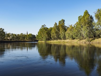 Trees reflecting in river