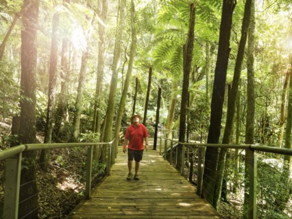 Man walking in forest