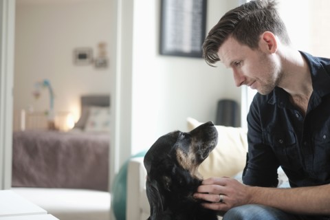 Man playing with dog in living room.