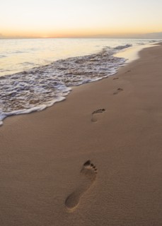 Footprints on sand on tropical beach