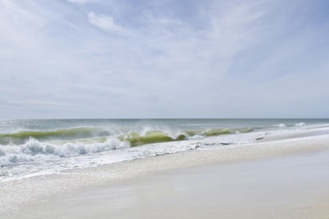 Seascape with Madaket Beach