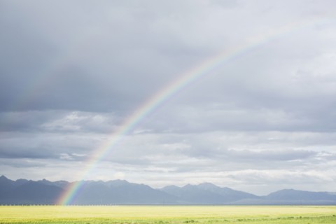 Rainbow over agricultural field