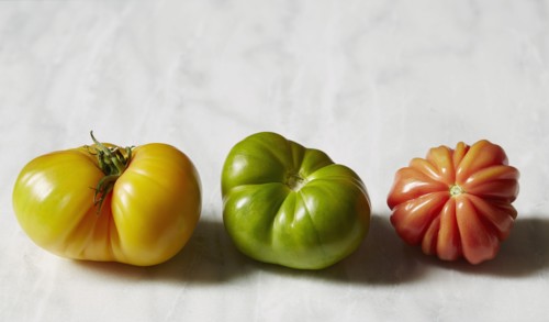 Tomatoes on white background