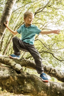 Boy (8-9) climbing branch