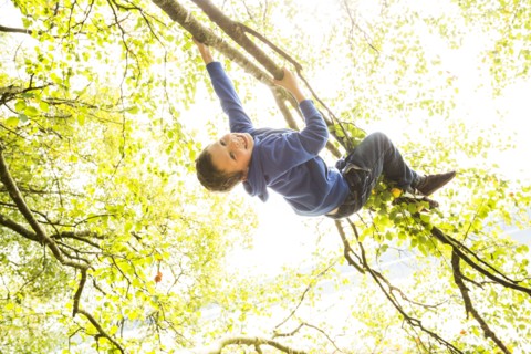 Smiling boy (6-7) hanging on branch