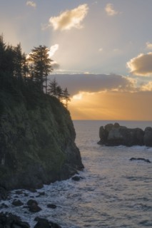 Trees on cliff over sea at sunset