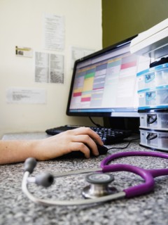 Vet using computer