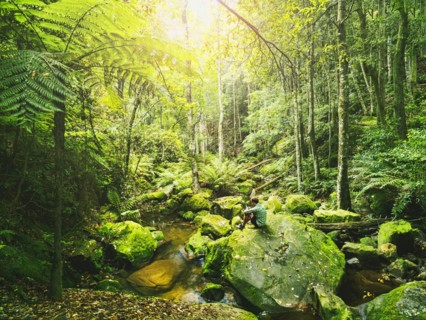 Mid adult man sitting on rock in green forest