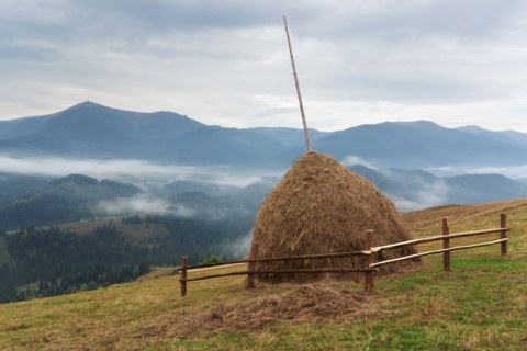 Haystack on field in mountains