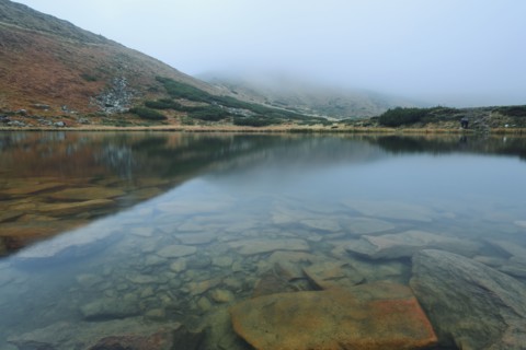 Rocks in clear water
