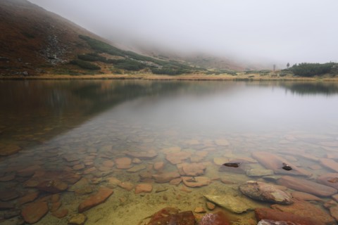 Rocks in clear water
