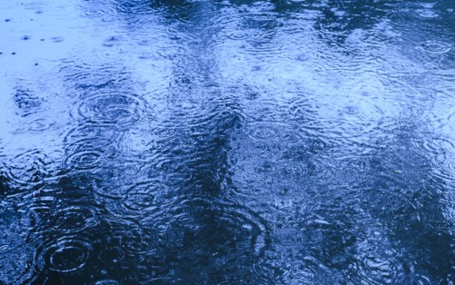 Rippled pond on rainy day.