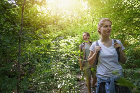 Couple walking in woodlands.