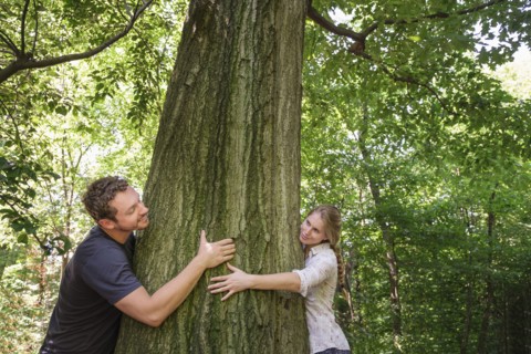 Couple hugging tree.