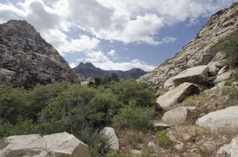 Nevada, Red Rock Canyon, Landscape with rock mountains