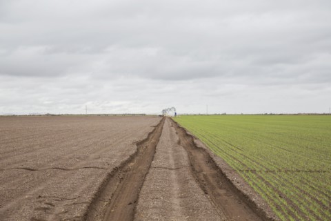 Tire tracks in field