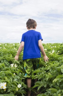 Boy (6-7) walking in field