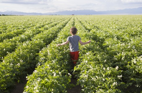 Boy (6-7) walking in field