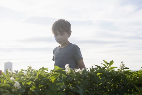 Boy (6-7) walking in field