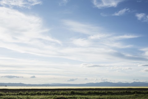 Field at dusk