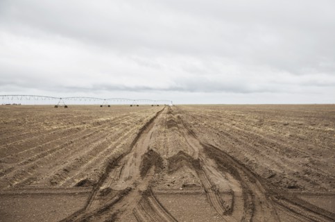 Tire tracks in field