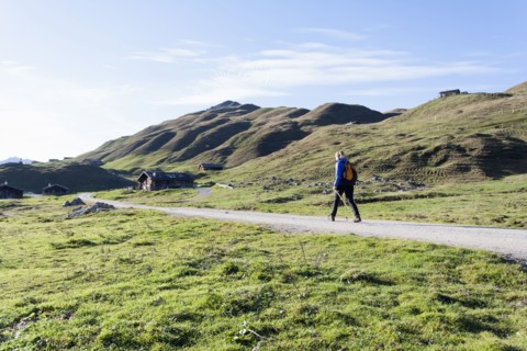 Austria, Salzburger Land, Weissbach, Mature woman hiking on sunny day in mountain landscape