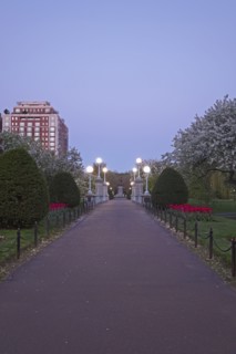 Massachusetts, Boston, Boston Public Garden at dawn