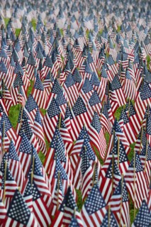 Massachusetts, Boston, American flags on Boston Common