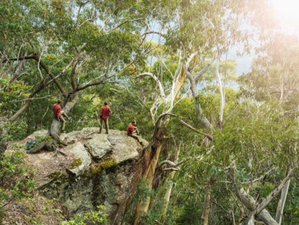 Australia, New South Wales, Katoomba, Three people on cliff in forest in Blue Mountains
