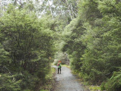 Australia, New South Wales, Katoomba, Young woman walking along empty road in forest