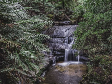 Australia, New South Wales, Blue Mountains National Park, Leura Cascades, Waterfall in forest