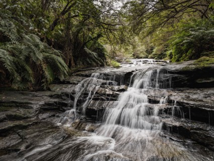 Australia, New South Wales, Blue Mountains National Park, Leura Cascades, Waterfall in forest