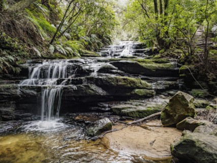 Australia, New South Wales, Blue Mountains National Park, Leura Cascades, Waterfall in forest