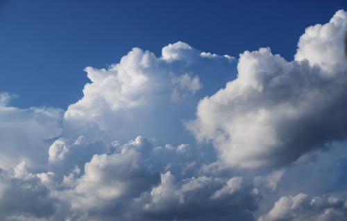 Cumulus clouds on sky.