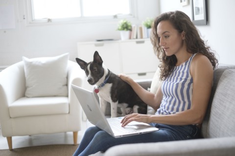 Young woman sitting on sofa with laptop and dog.