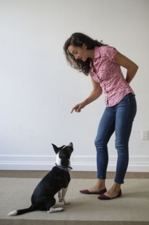 Young woman training her dog.