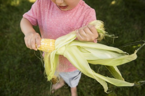 Boy (4-5) peeling corn cob