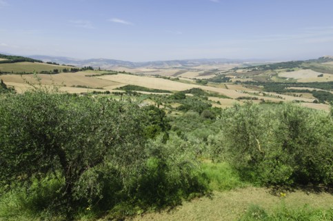 Italy, Tuscany, Pienza, Landscape with blue sky