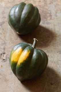 Two small pumpkins
