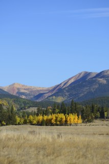 USA, Colorado, Kenosha Pass in fall
