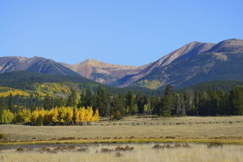 USA, Colorado, Kenosha Pass in fall