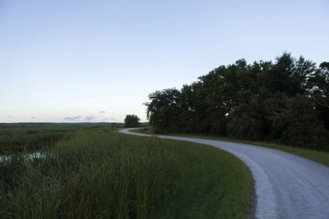 Country road under clear sky